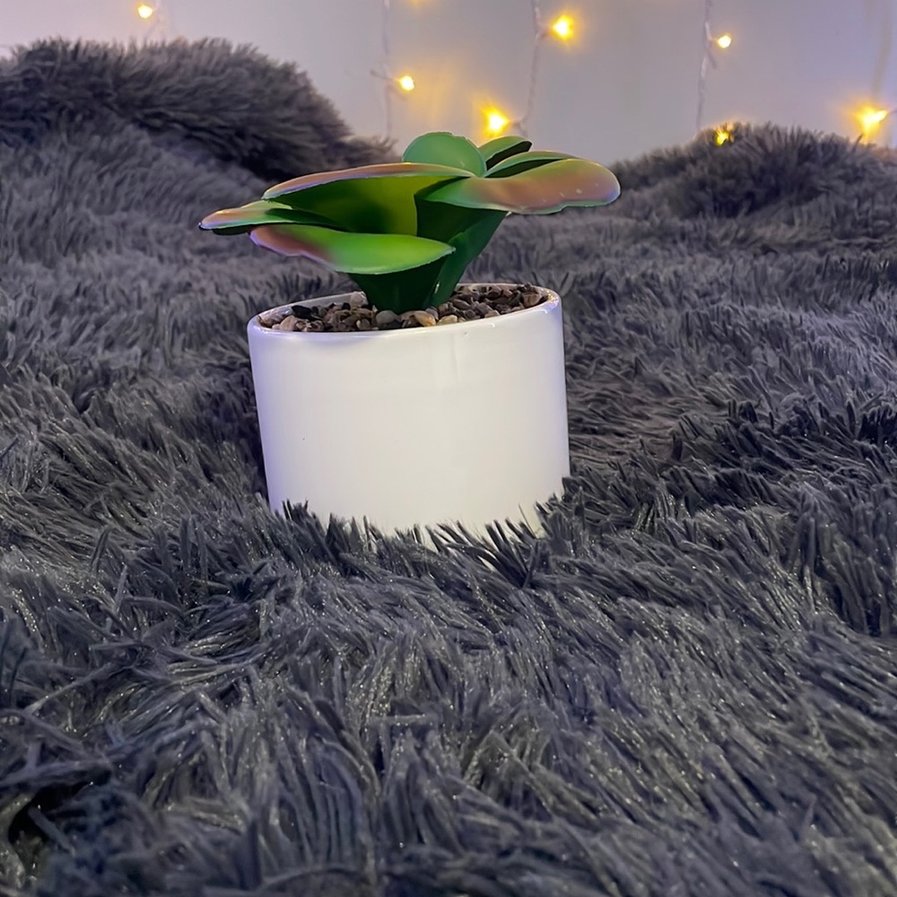 Fake plant